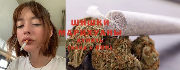 МДПВ Богданович
