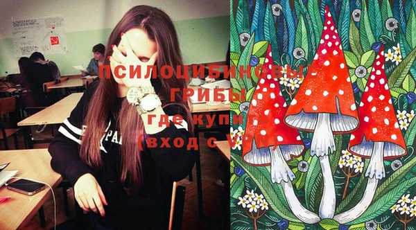 МДПВ Богданович