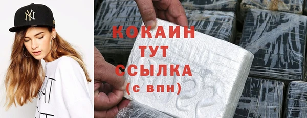 бошки Бородино