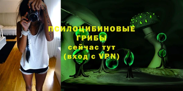 ешки Богородск